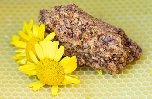 {{brizy_dc_image_alt imageSrc=